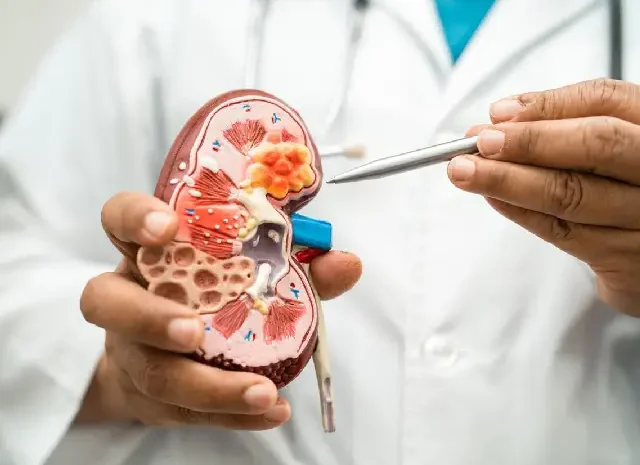  Symptoms of Kidney Cancer: A Comprehensive Guide for Patients