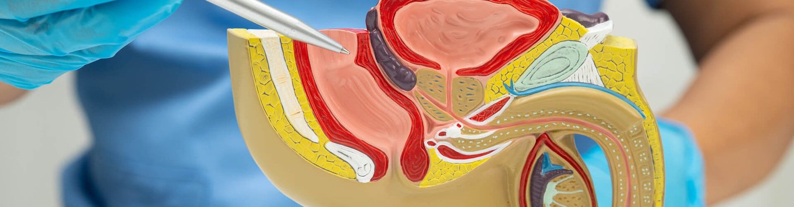 Prostate Cancer Treatment in Mumbai
